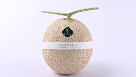 非日常の日々を越えて。「ひとつ上の豊かさ」が生み出す日常の喜び