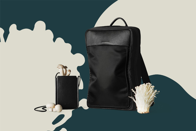 【土屋鞄製造所】キノコの菌糸体由来の新素材バッグを発表