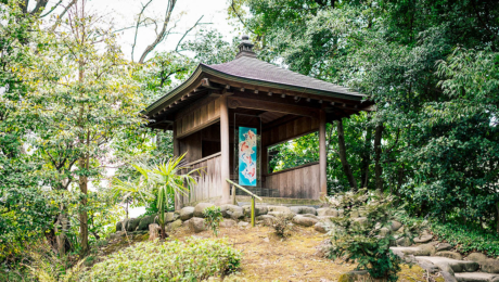 「伝統」と「新しい価値」の発掘は続く