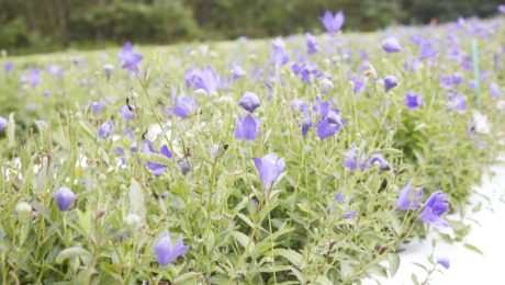 セルフメディケーションを身につけて、いきいき、快適な毎日を