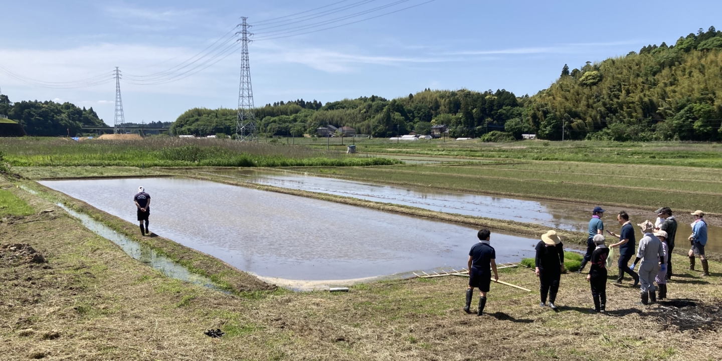 社員が田植えから携わる榮太樓總本鋪の菓子づくり