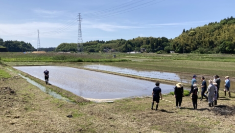社員が田植えから携わる榮太樓總本鋪の菓子づくり