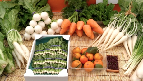 江戸東京野菜が教えてくれる伝統の味と、食の多様性