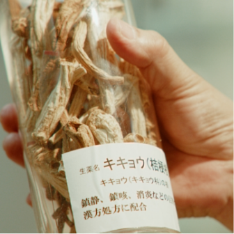 東京生薬協会